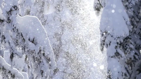 Snow Crystals 19 動画素材 262014148