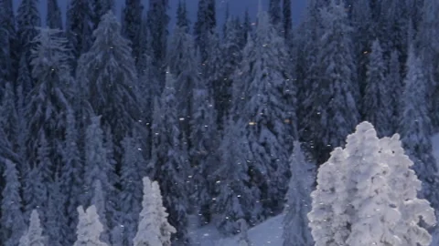 Snow Crystals 2 動画素材 262024737