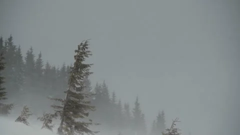 Snow crystals blown in the strong wind and blizzard. Ukrainian mountains Stock Footage 170519223