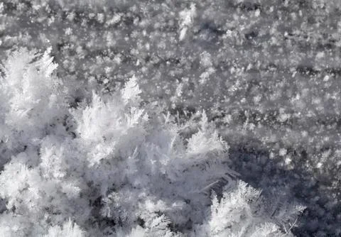 Snow crystals on the ground Stock Photos