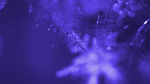 Snow crystals light games with reflections, sparkles, sparkling, flickering Stock Footage 146153680