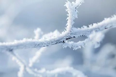 Snow crystals Stock Photos