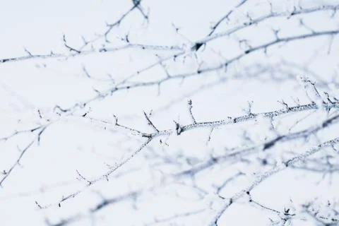 Snow crystals Stock-Fotos