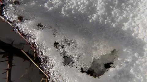Snow crystals Stock Photos