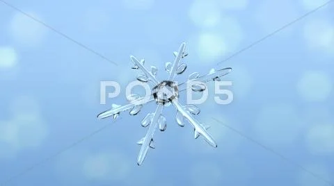 Snow crystals single front Stock Illustration