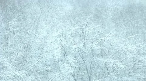 Snow cyclone on Kamchatka Vidéo 10566357