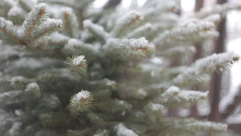 Snow dance with snowflakes. Winter relax. Video stock 101558524