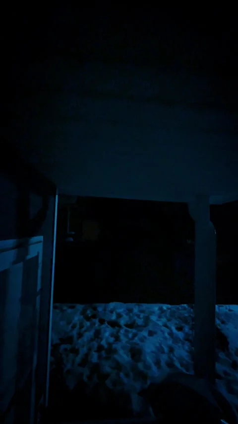 Snow darkness Stock Footage 279522576