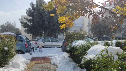 Snow day 8 Stock Footage 169084641