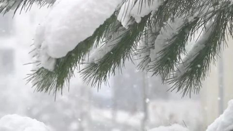 Snow day Stock Footage 149841202