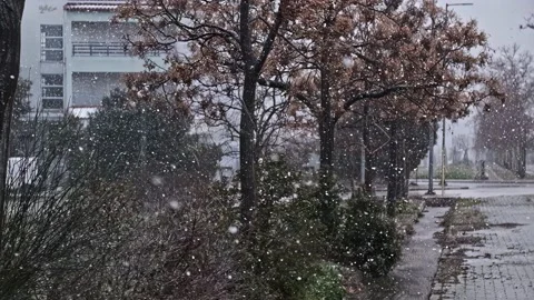 Snow day Stock Footage 232524358