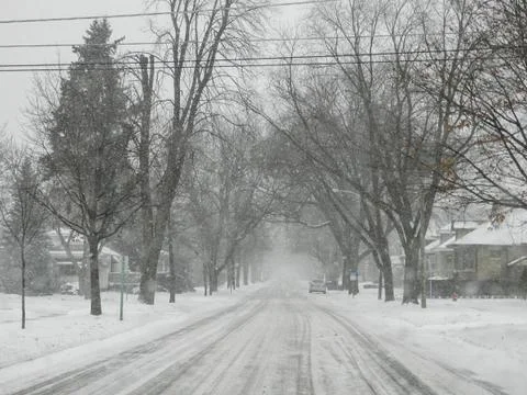 The Snow Day Stock Photos