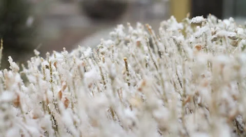 Snow in the desert Stock Footage 23486410