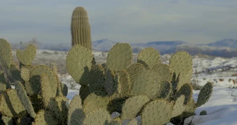 Snow in the Desert Video stock 105440563