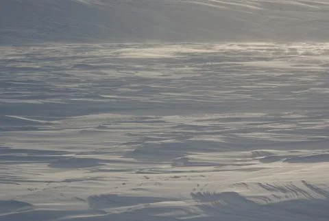 Snow desert. Stock Photos