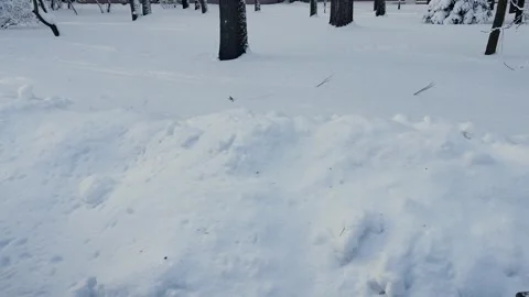 Snow with different traces, white clean snow in winter Video stock 329249895