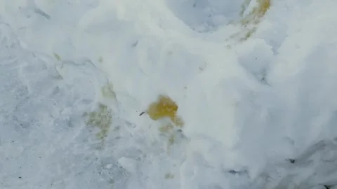 Snow with different traces, white clean snow in winter Stock Footage 329250036