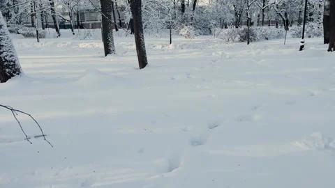 Snow with different traces, white clean snow in winter Stock Footage 329250055