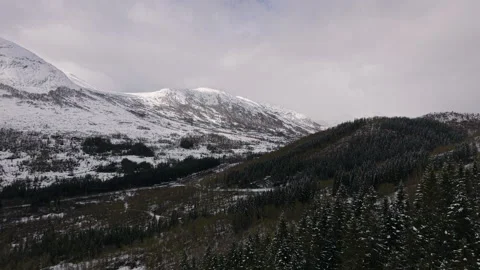 Snow-Draped Forests and Rugged Mountains Under Cloudy Skies Stockbeeldmateriaal 334738026