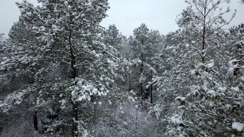 Snow Drone 스톡 동영상 103643723