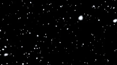 The Snow drop on black background  footage for Christmas or winter concept. Stock Footage 319978084