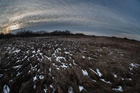 Snow in dry marsh grass between tussocks. Spring-winter landscape with sunset 写真素材