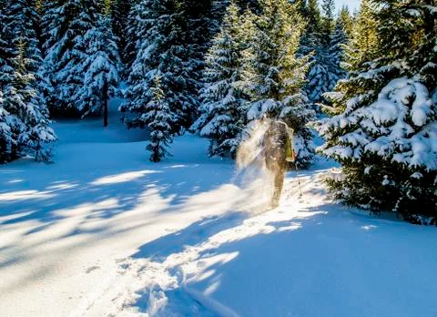 Snow dust Stock Photos
