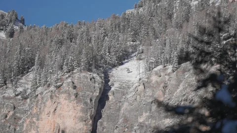 Snow-Dusted Pine-Covered Mountain Ridge Beneath Clear Blue Sky in Winter Alpine Stock-Footage 310179978
