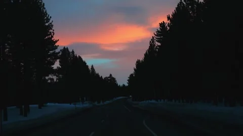 Snow-dusted pine forest framing empty curving highway at... Stockbeeldmateriaal 328254744