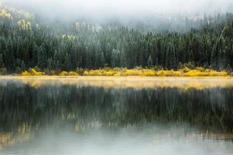 Snow Dusted Pine Trees Reflected in Calm Apline Lake. Stock Photos