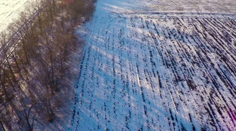 Snow on an Empty Field. Stock Footage 59434518