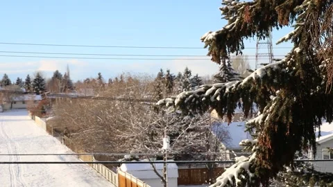 Snow faliing Stock Footage 155898885