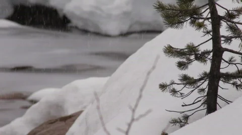 Snow Fall 1 Stock Footage 681740