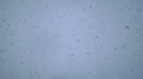 Snow Fall 1 Stock Footage 10683953