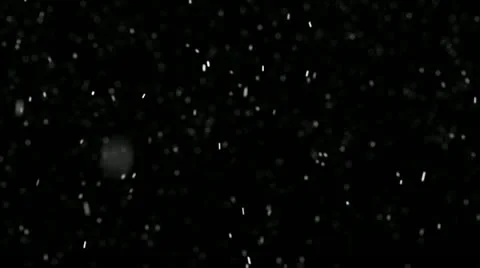 Snow Fall 2 Stock Footage 12421509