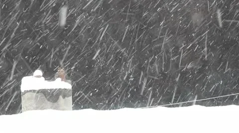 Snow Fall 2 HD 1080p Stock Footage 10726159