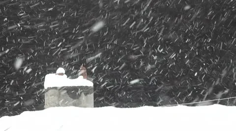 Snow Fall 3 HD 1080p Video stock 10726151