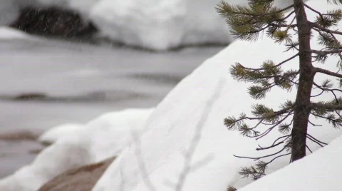 Snow Fall 4 Stock Footage 681738