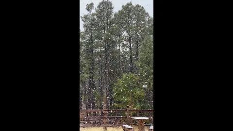 Snow Fall In Arizona Stock Footage 330953244