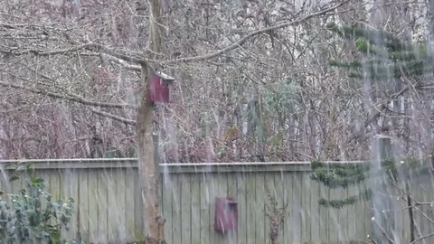 Snow fall in back garden 1 Stock Footage 84943614