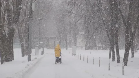 Snow fall blizzard in city park. Mom rolling baby in a stroller under a snowfall Stock-Footage 154121199