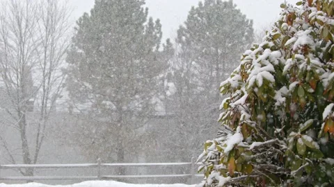 Snow fall - Blizzard - Winter - Snow Storm Stock Footage 171683989