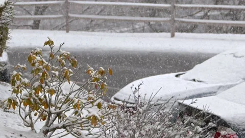 Snow fall - Blizzard - Winter - Snow Storm Stock Footage 171684965