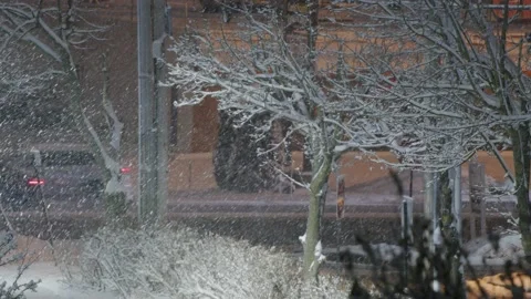 Snow fall - Blizzard - Winter - Snow Storm Stock Footage 171685664