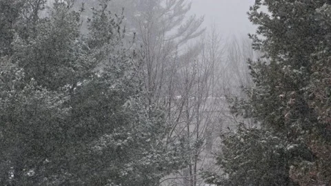 Snow fall - Blizzard - Winter - Snow Storm Stock Footage 171685782