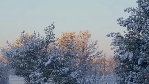 Snow fall - Blizzard - Winter - Snow Storm Stock Footage 171686244