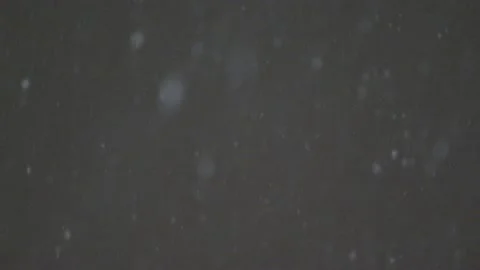 Snow fall - Blizzard - Winter - Snow Storm Stock Footage 171687478