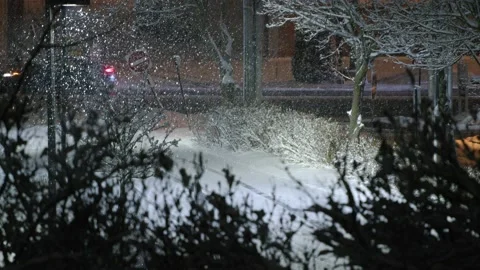 Snow fall - Blizzard - Winter - Snow Storm Stock Footage 171687560
