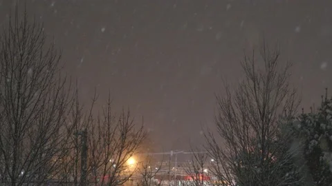 Snow fall - Blizzard - Winter - Snow Storm Stock Footage 171687854