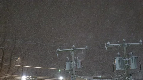 Snow fall - Blizzard - Winter - Snow Storm Stock Footage 171687881